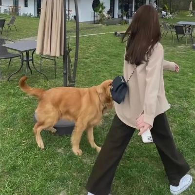 首选列表