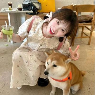 大卫·查普尔的街区聚会